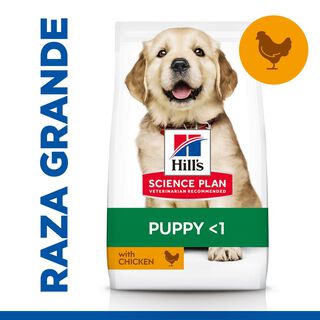 Hill's Science Plan Puppy large Pollo pienso para perros